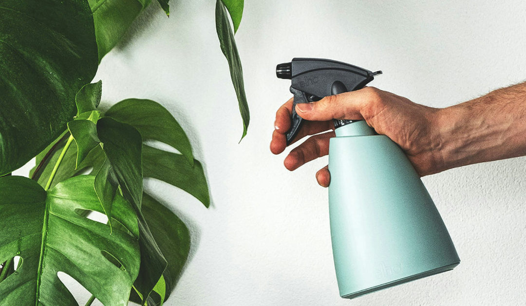 How to Keep Indoor Plants Pest-Free: Prevention & Treatment