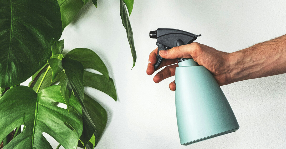 How to Get Rid of Pests on Indoor Plants | Prevention & Treatment Tips