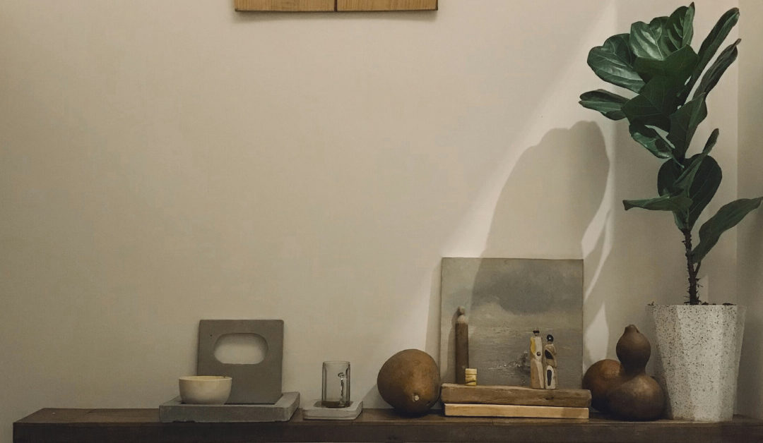 Low-Light Indoor Plants: The Best Choices for Dark Rooms