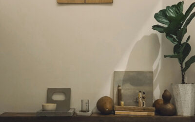 Low-Light Indoor Plants: The Best Choices for Dark Rooms