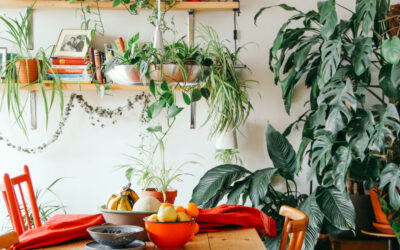 The Best Indoor Plants for Small Spaces and Apartments
