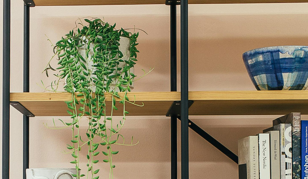 Curating a Plant Shelf That Breathes