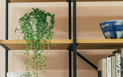 Curating a Plant Shelf That Breathes