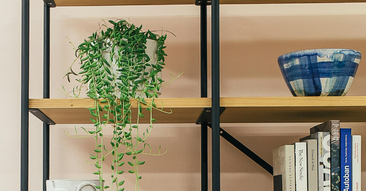 How to Style a Plant Shelf That Breathes