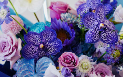 Mother’s Day: Living Gifts That Speak Without Words