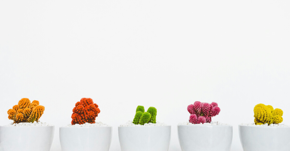 Color Theory in Plant Design: Foliage, Pots, and Room Harmony Guide