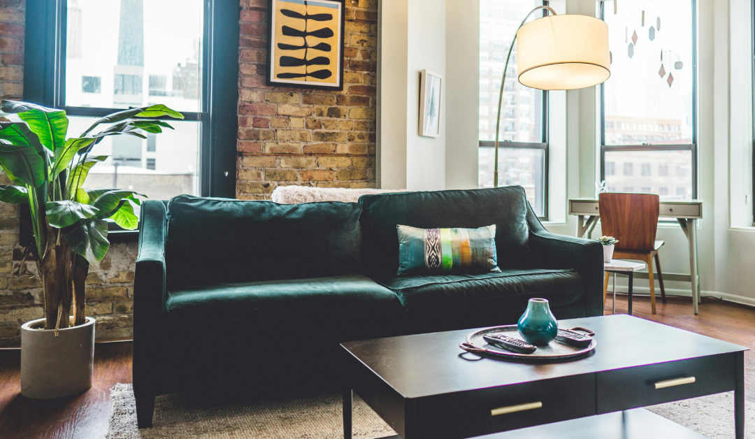 Statement Plants: Bold Houseplants That Command Attention