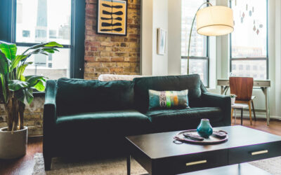 Statement Plants: Bold Houseplants That Command Attention