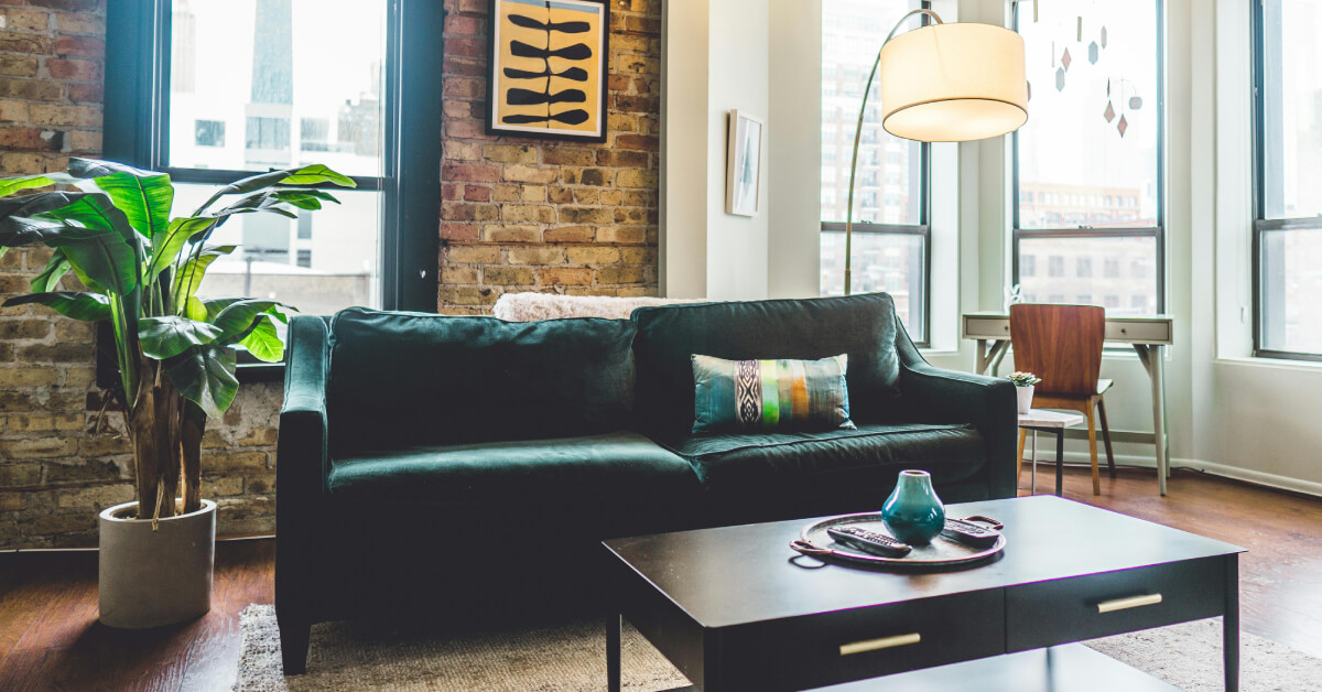 Statement Plants: Bold Houseplants That Command Attention