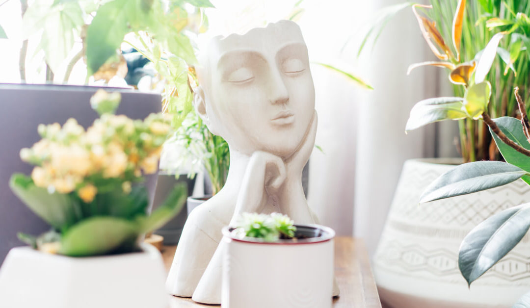 The Feng Shui of Foliage: Placing Plants for Positive Energy Flow